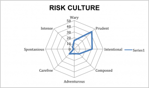 spiderdiagram risk culture