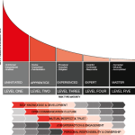 Risk Maturity Model